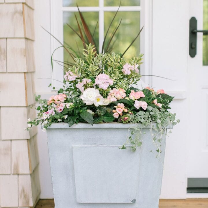Image for Oversized Planters