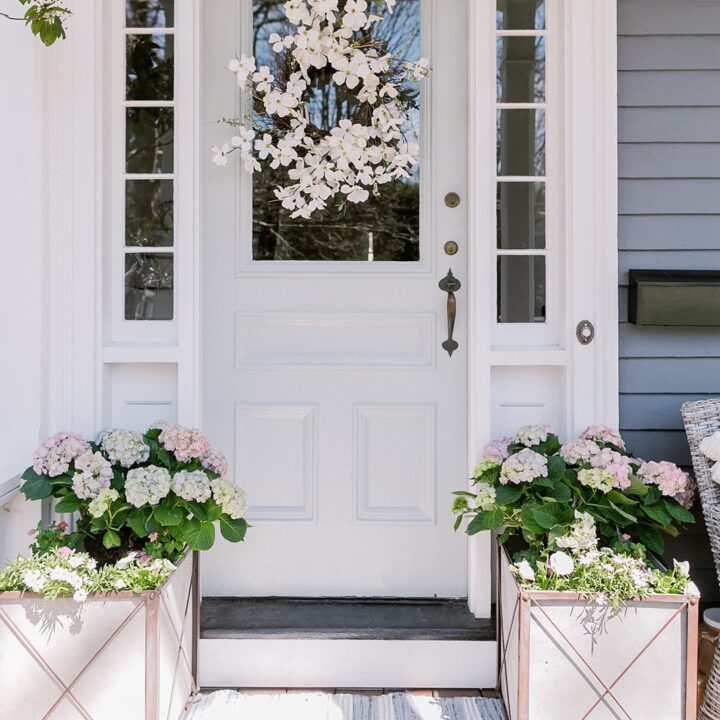 Image for Soft Blue Gray Door + Pastel Hydrangeas