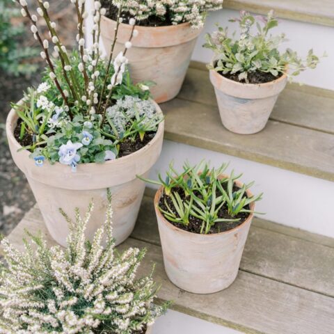 Image for DIY Aged Terracotta Pots