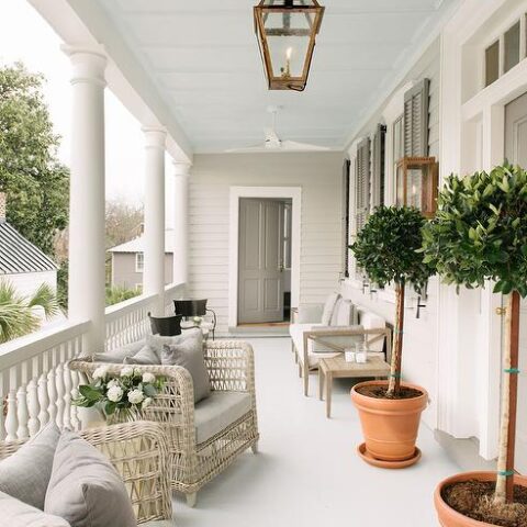 Image for Woven Furniture + Big Leafy Plants