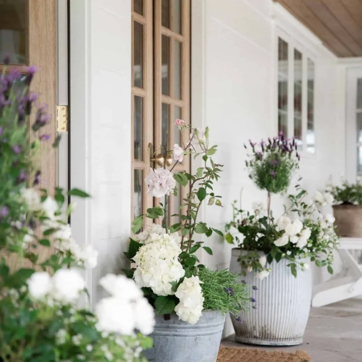 Image for Rustic Metal Buckets