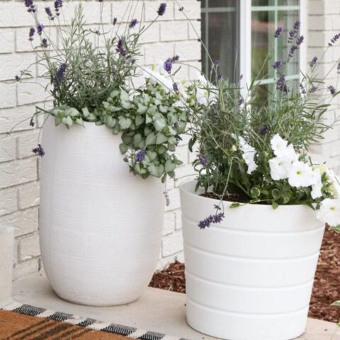 Image for Tall White Planters
