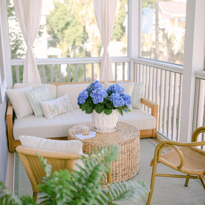 Image for White Sofa, Wicker Chairs & Bright Blue Flowers