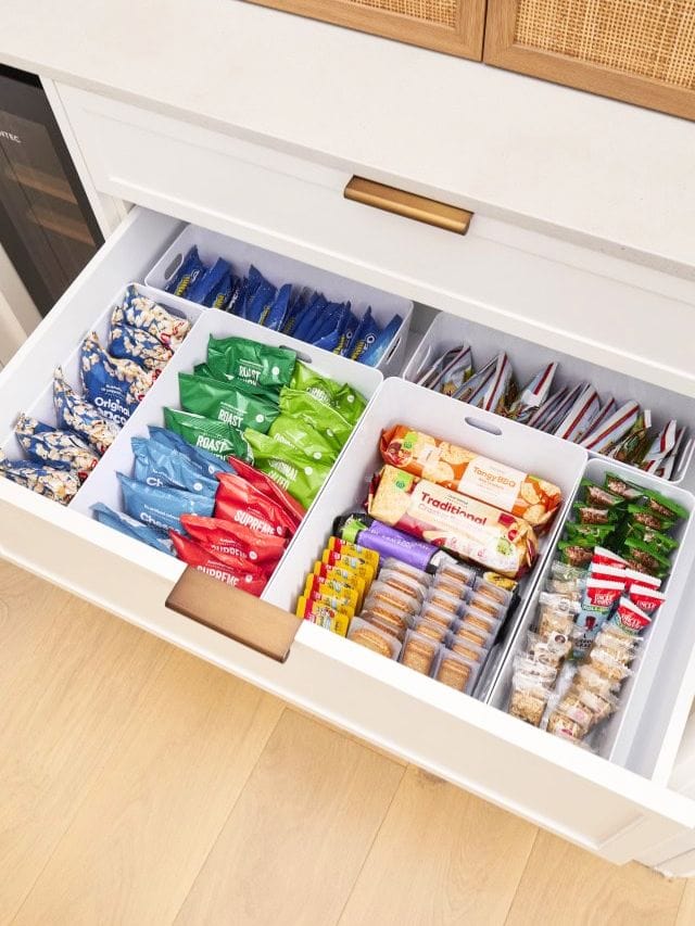Snack Organizer Ideas-Webstories- Cover