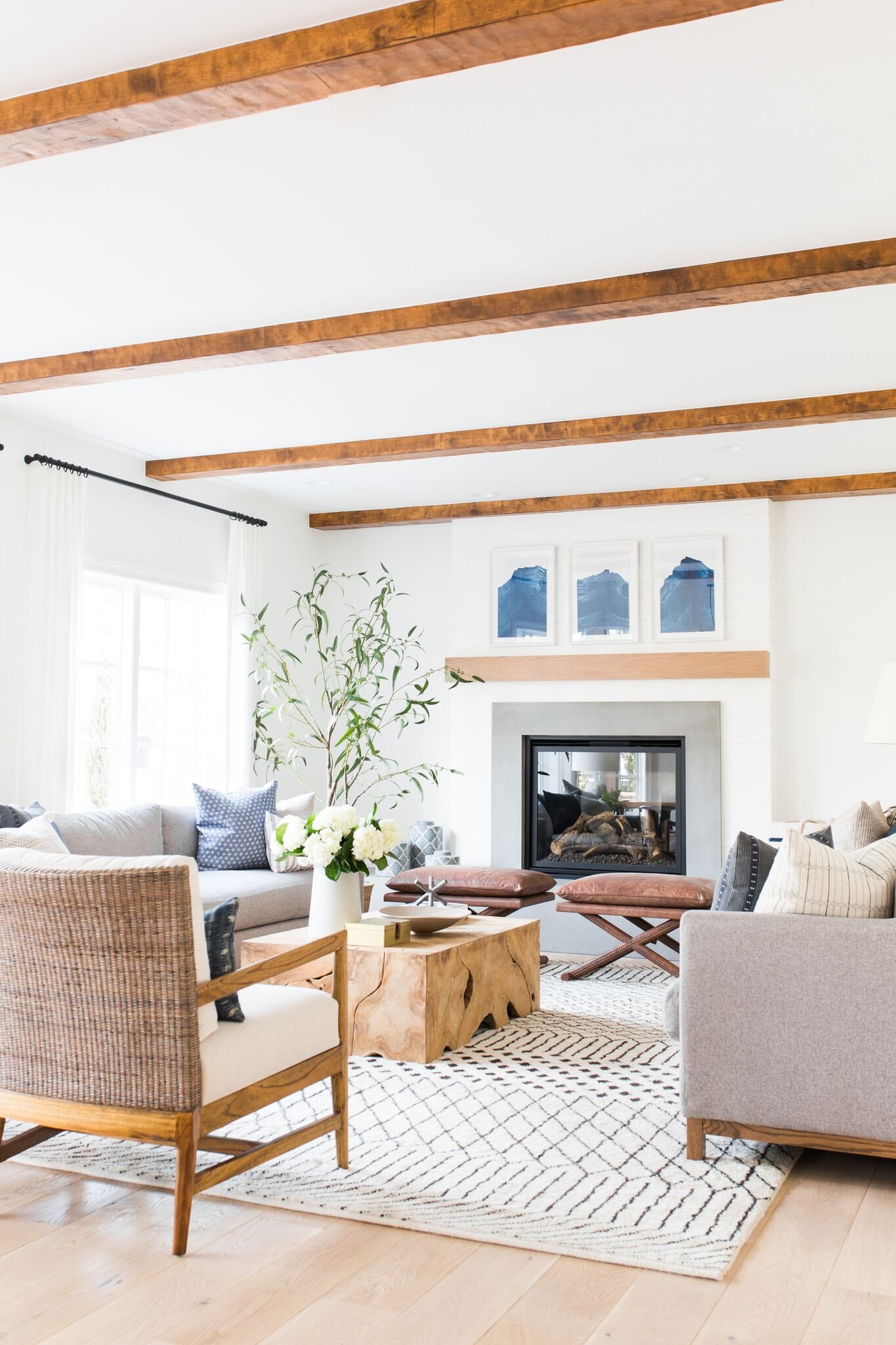 Coastal Modern Living Room Ideas