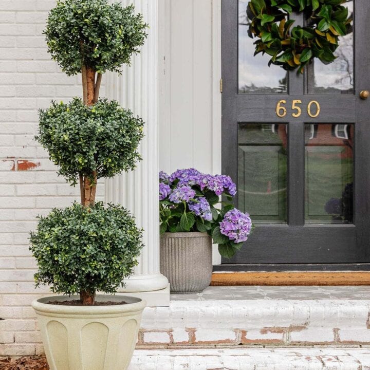 Image for Classic Urn Planter