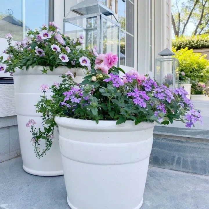 Image for White Barrel Planters