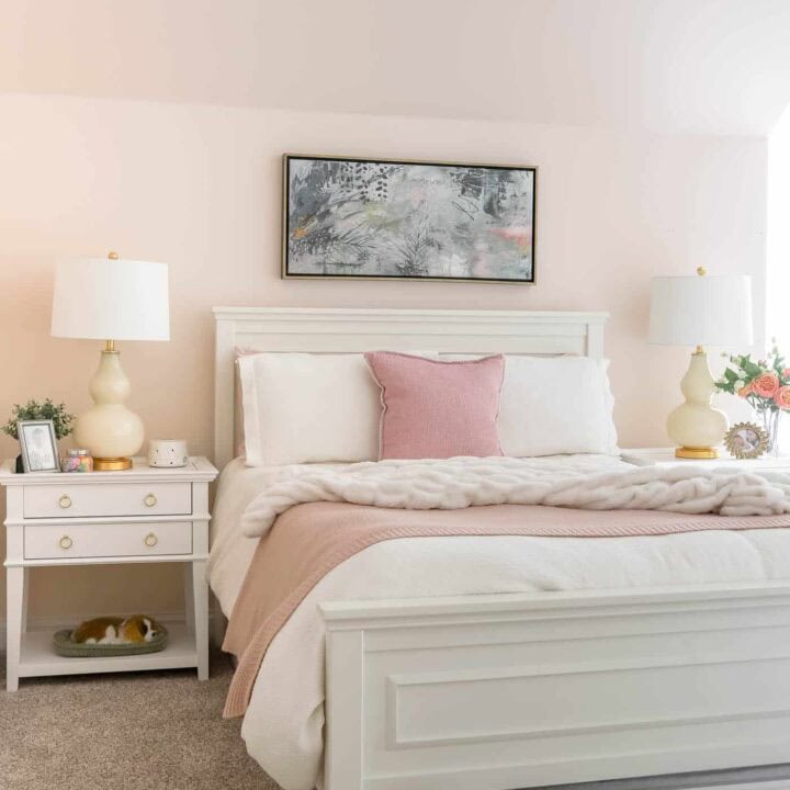 Image for Soft Pink Wall & Pillows