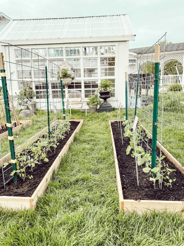 Backyard Garden Box Ideas-Cover