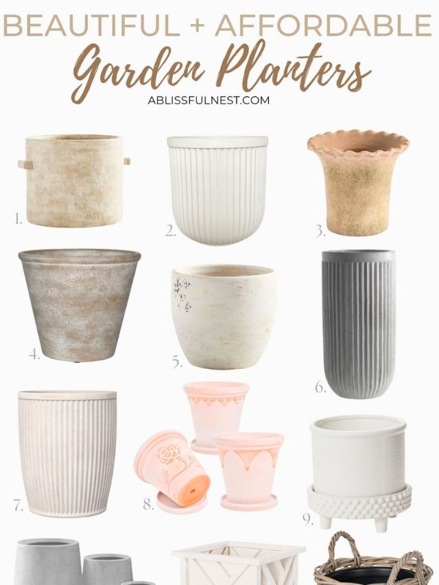 Beautiful and Affordable Garden Planters-Webstories- Cover