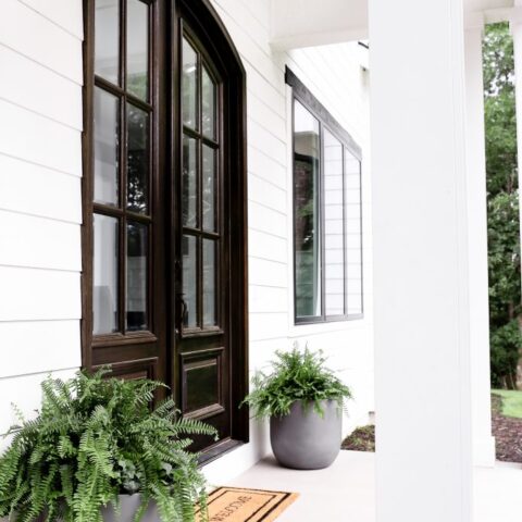 Image for Ferns In Concrete Pot Planters 