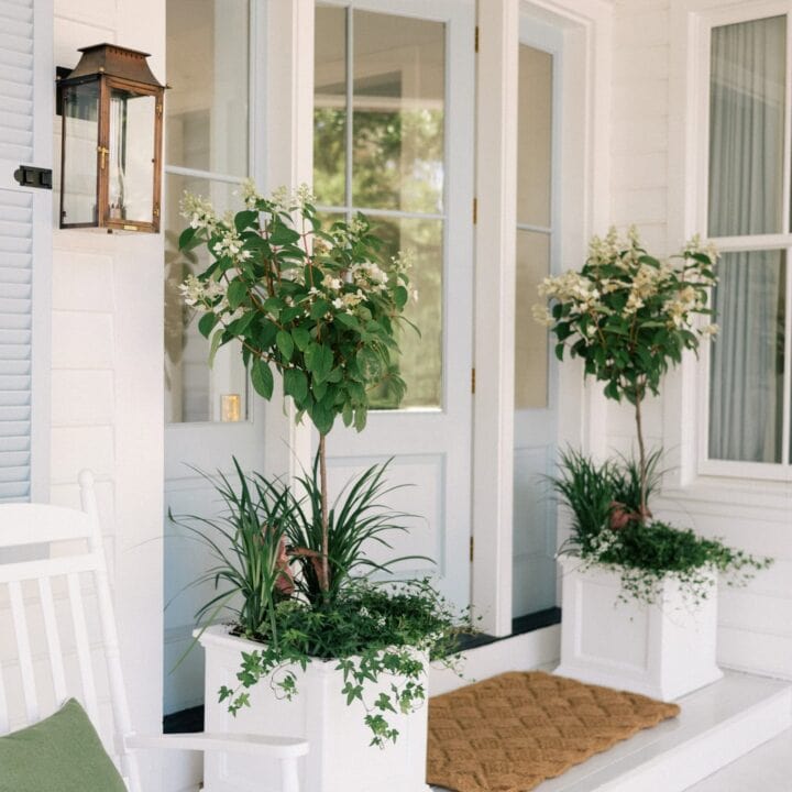 Image for Bright White Porch With Rocking Chair + Big Planters