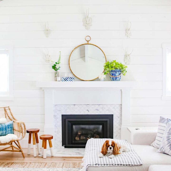 Image for Bright White With Simple Plants + Soft Mirror