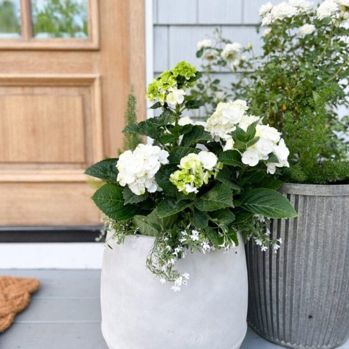Image for Matte White Rounded Pot With White Hydrangeas + Metal Planter With White Blooms