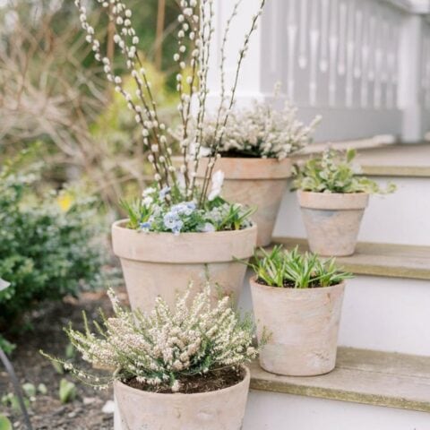 Image for Aged Terracotta Pots