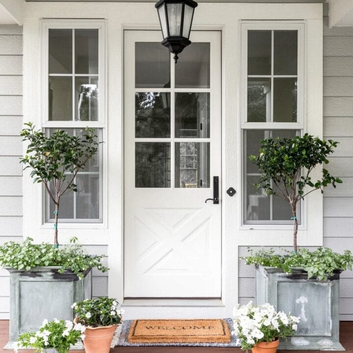 Image for Concrete & Terracotta Pots + Topiaries, Trailing Greenery & White Blooms