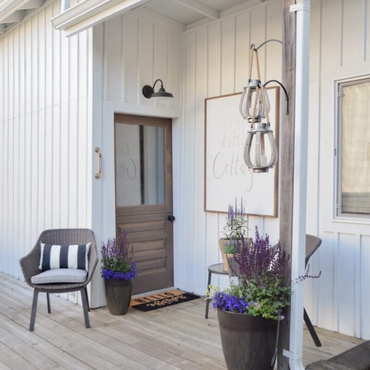 Image for Tall Black Planters + Purple Florals