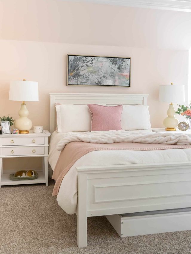 Tween Bedroom Paint Ideas-Webstories- Cover