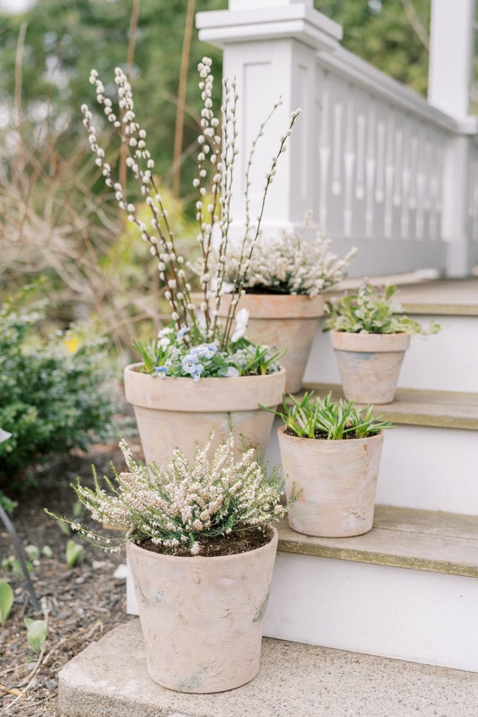 Ideas For Summer Planters