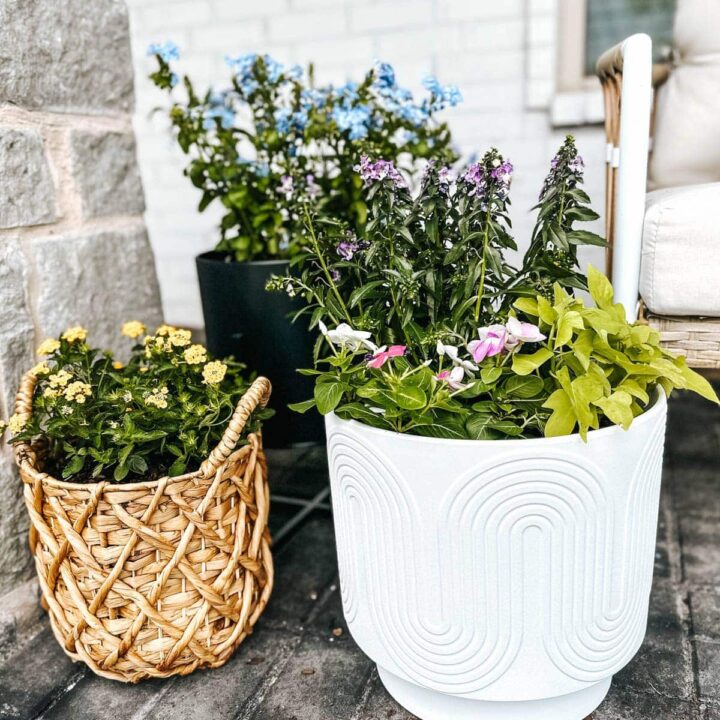 Image for Woven & White Planters With Colorful Blooms