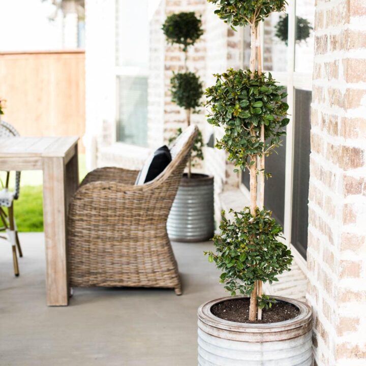 Image for Galvanized Planters + Tall Topiary Balls