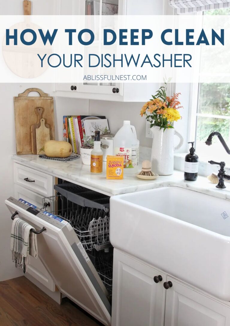 How to Deep Clean Your Dishwasher | A Blissful Nest