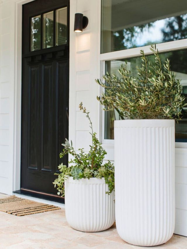 Ideas For Flower Pots On A Front Porch-Webstories- Cover