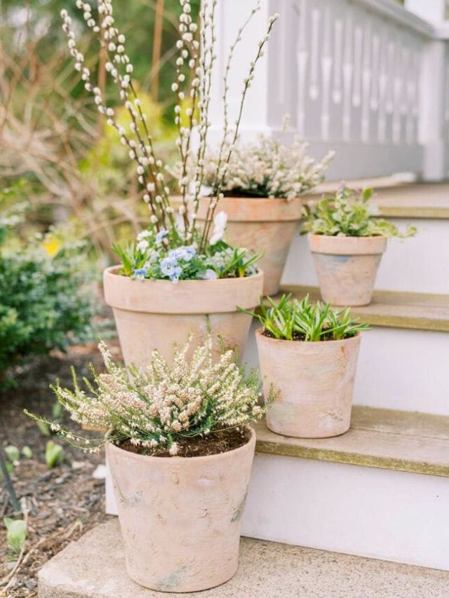 Ideas For Summer Planters-Webstories- Cover