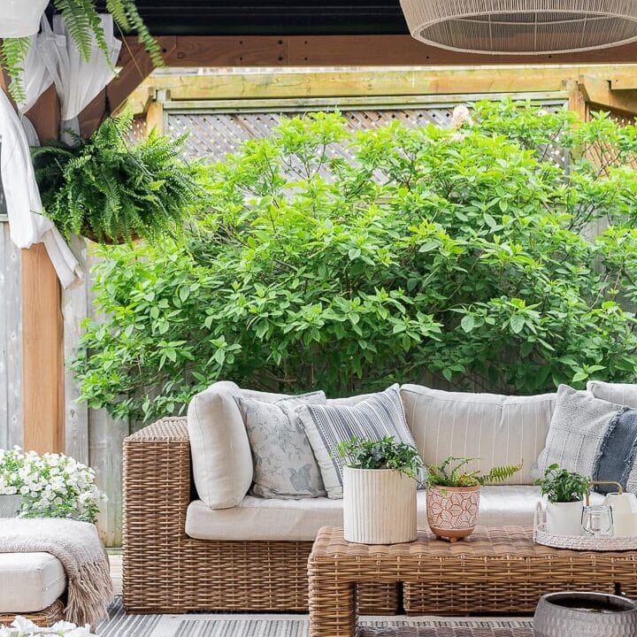 Image for Wicker Furniture + Earthy Pillows And Potted Ferns
