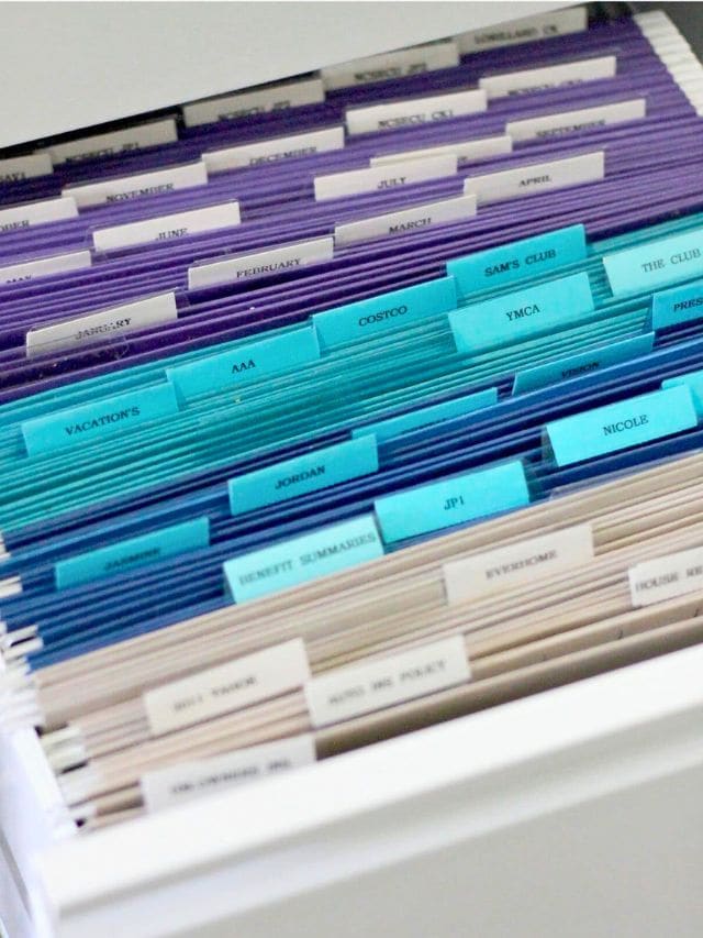 Organize A File Cabinet-Webstories- Cover