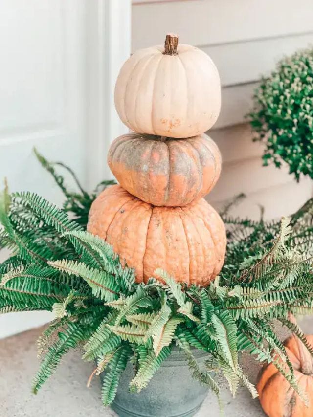 DIY Fall Porch Decor Ideas-Webstories- Cover
