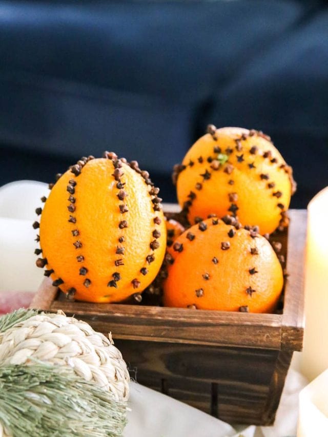 Orange Clove Pomanders-Webstories- Cover