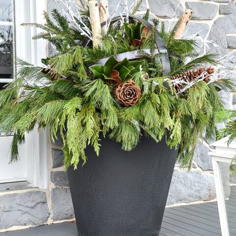 Image for Outdoor Christmas Planter With Pine, Cedar & Pinecones