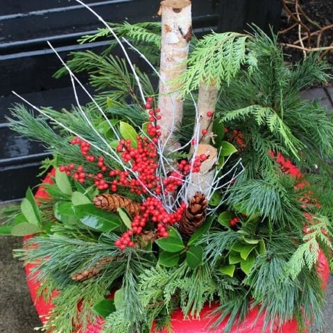 Image for DIY Festive Red Tire Planter