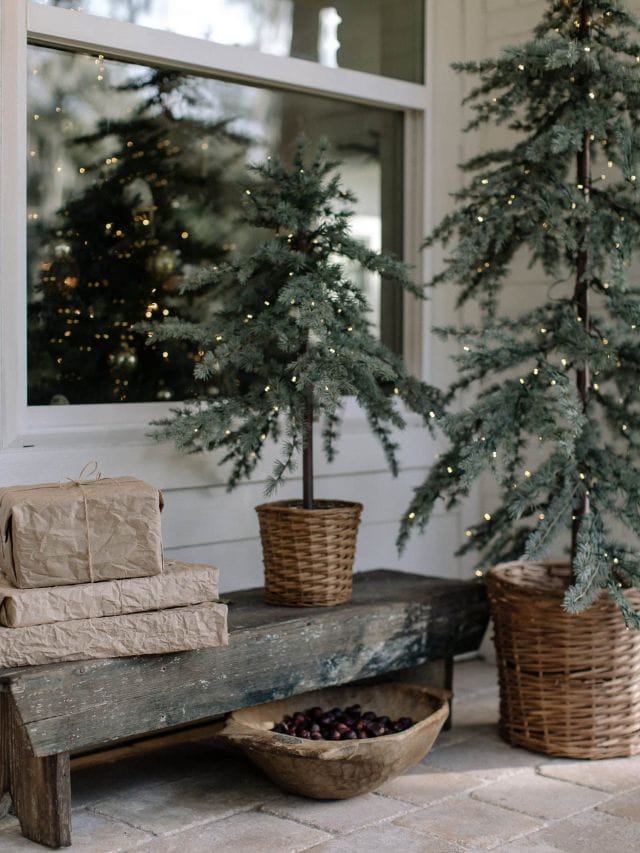 Artificial Winter Planters-Webstories- Cover