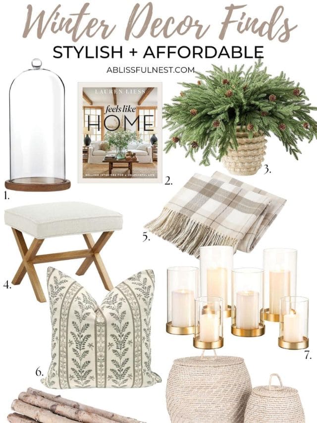 Winter Decor Finds-Webstories- Cover