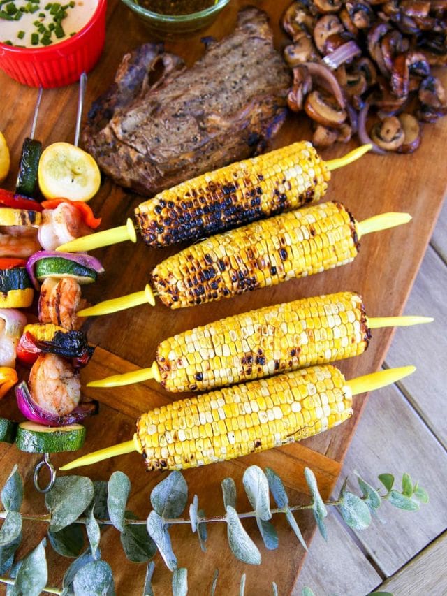 BBQ Ideas for Summer-Webstories- Cover