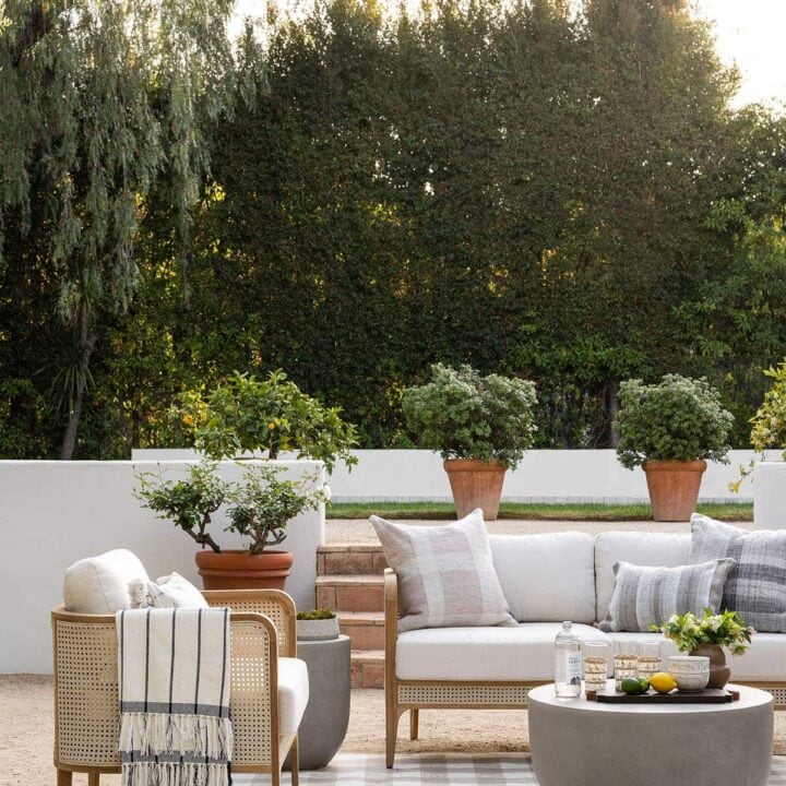 Image for Neutral Patio With Oversized Planters