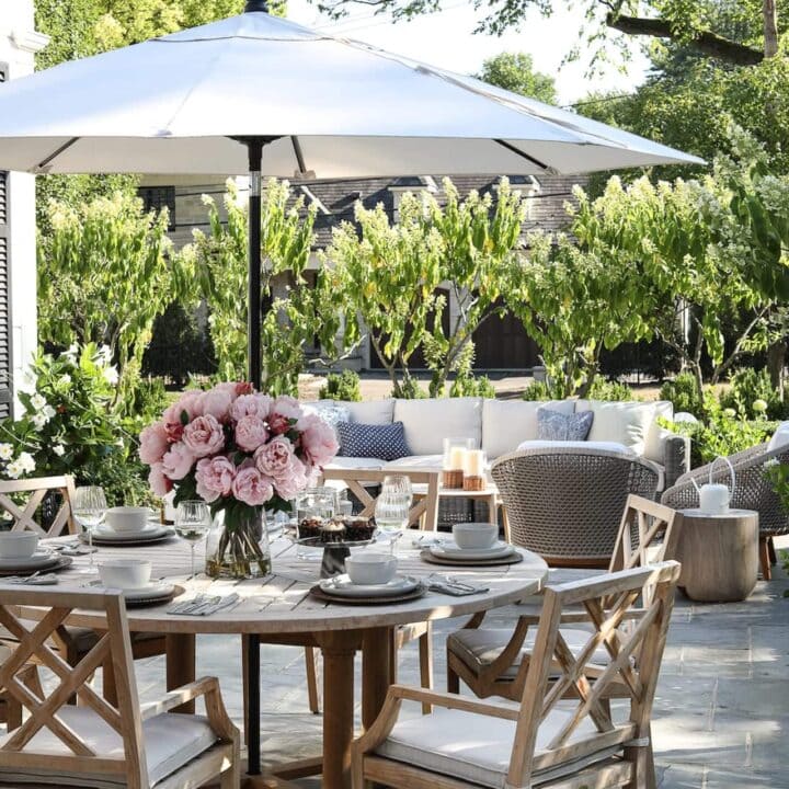 Image for Backyard Brunch Dining Setup