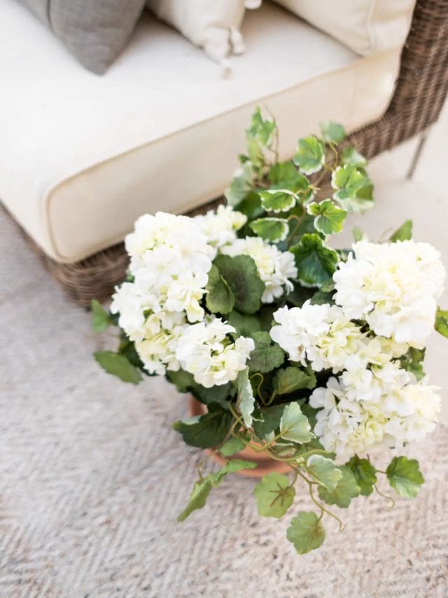 Outdoor Floral Arrangements for Summer-Webstories- Cover