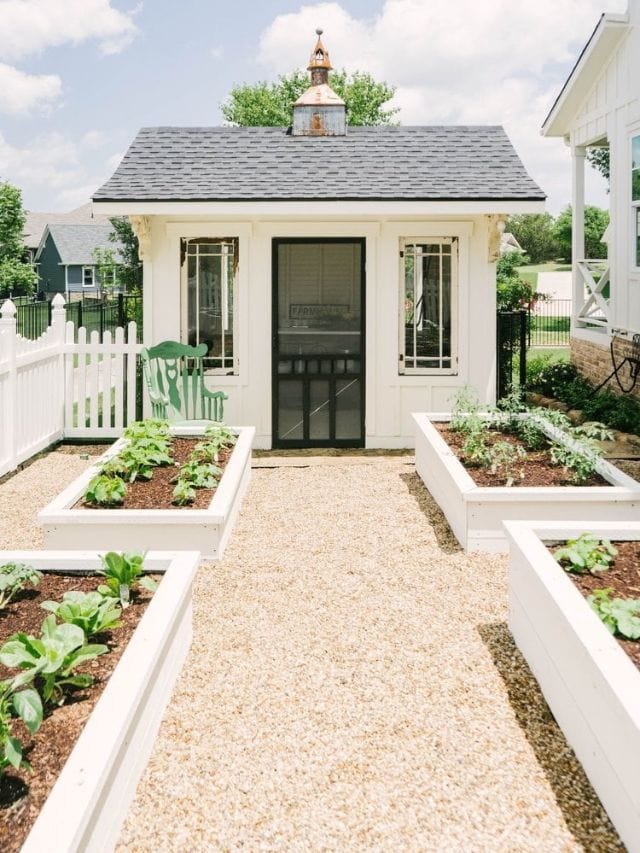 Unique Raised Garden Bed-Webstories- Cover