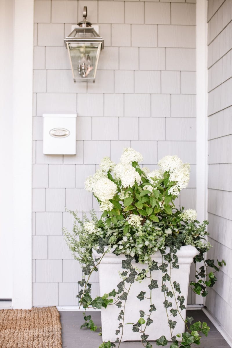 Outdoor Planter Ideas For Summer