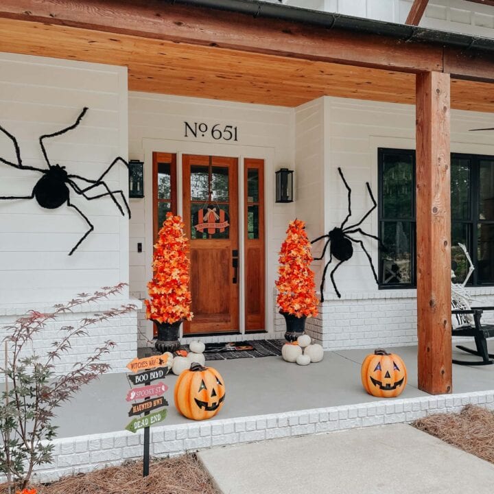 Image for Oversized Spiders & Glowing Orange Trees