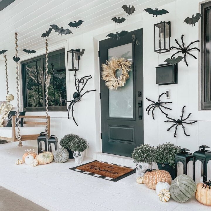 Image for Oversized Spiders & Skull Planters