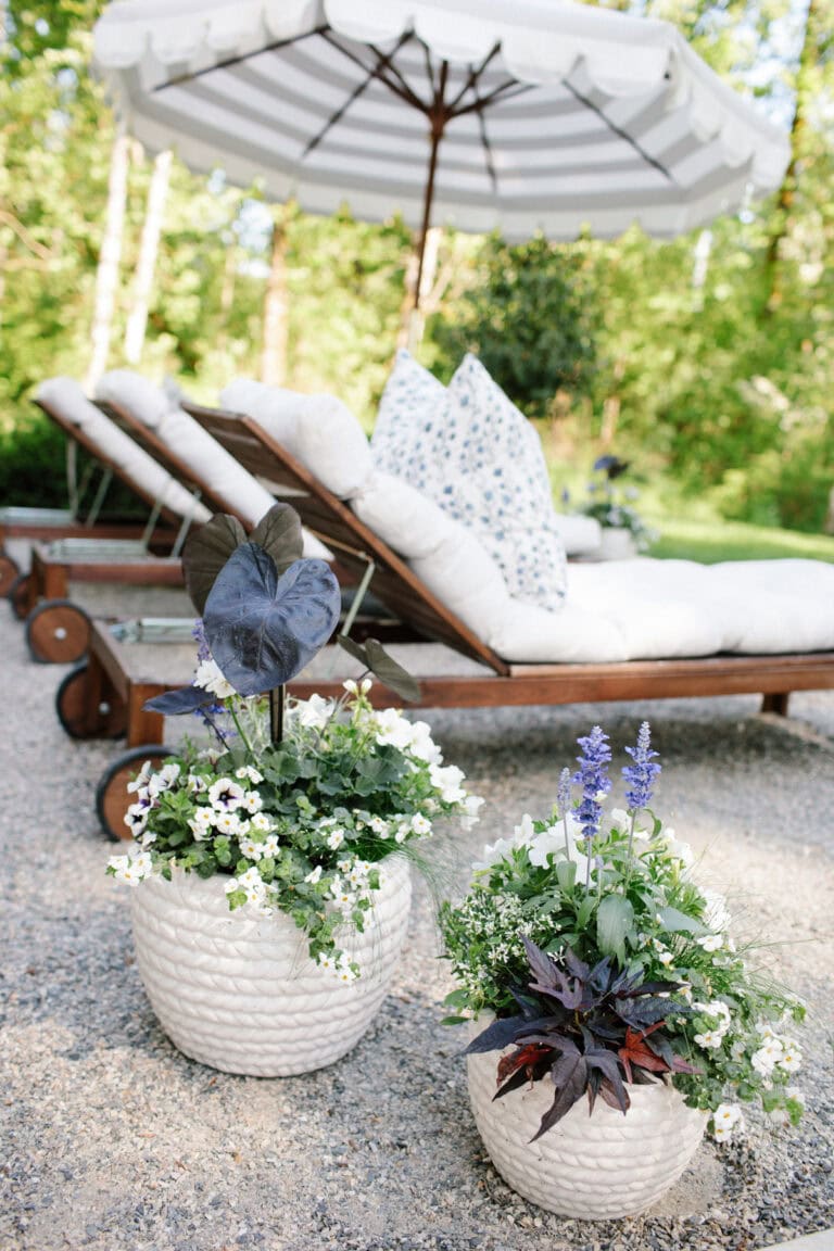Planter Arrangement Ideas That Elevate Curb Appeal